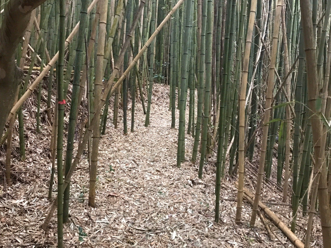 Gihei and Tajuro Memorial Hill-东松岛市必去景点