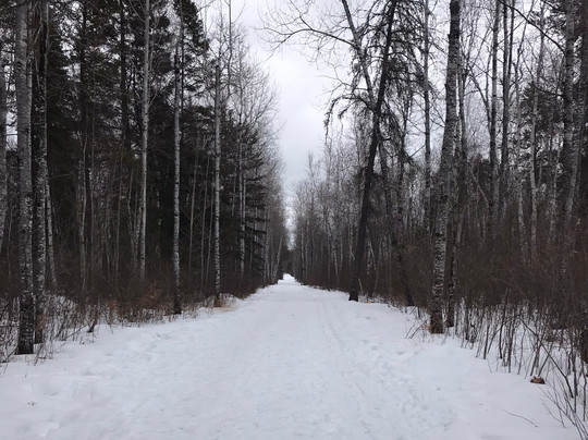 Pine Point Rapids-Oakbank必去景点