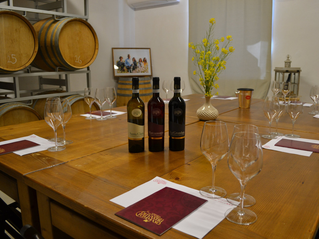 Cantina Olivastri Tommaso-San Vito Chietino必去景点