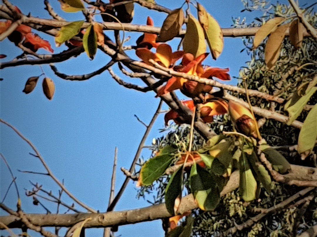 Raanana Park-Ra'anana必去景点