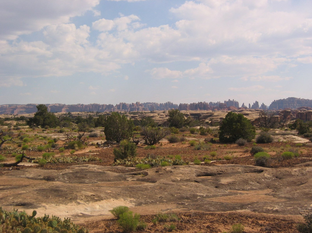 Wooden Shoe Arch overlook-峡谷地国家公园必去景点