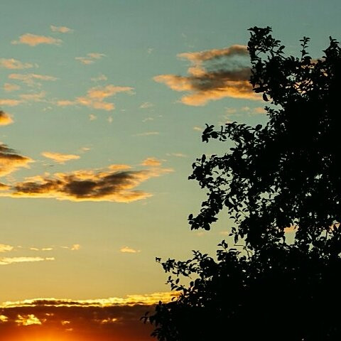 格林森林酒店主图