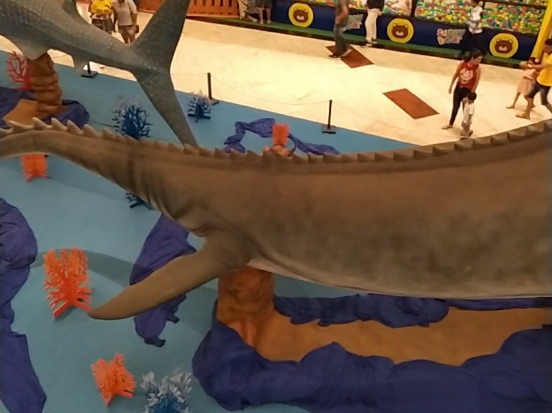 Shopping Bosque Grao Para-贝伦必去景点