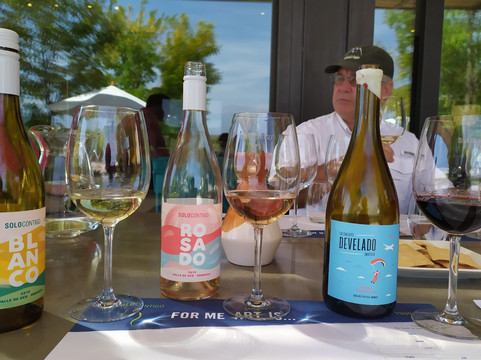 Roteiros em Mendoza-门多萨必去景点