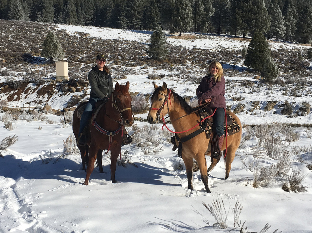 Sierra Adventures-里诺必去景点