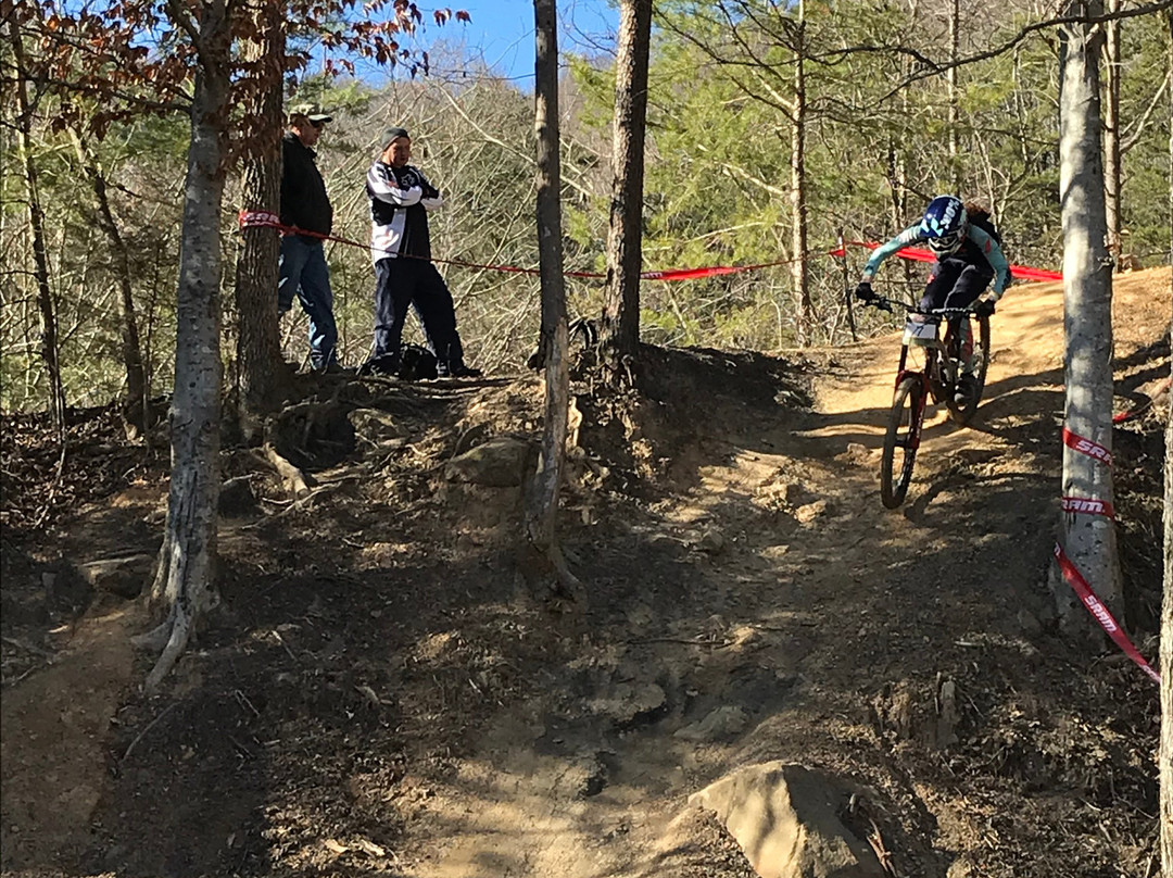 Windrock Park-Oliver Springs必去景点