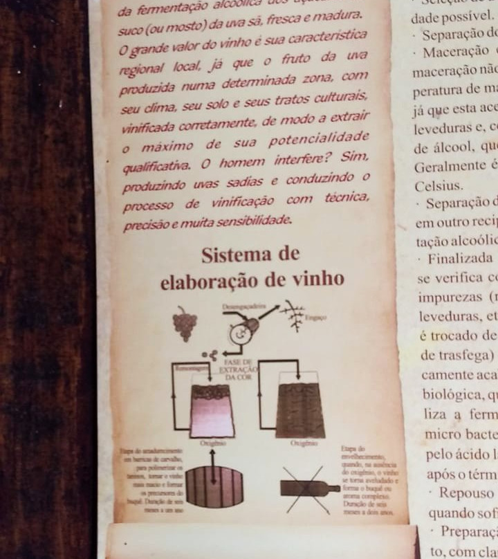 Espaco Cultural Museu do Vinho-容迪亚伊必去景点