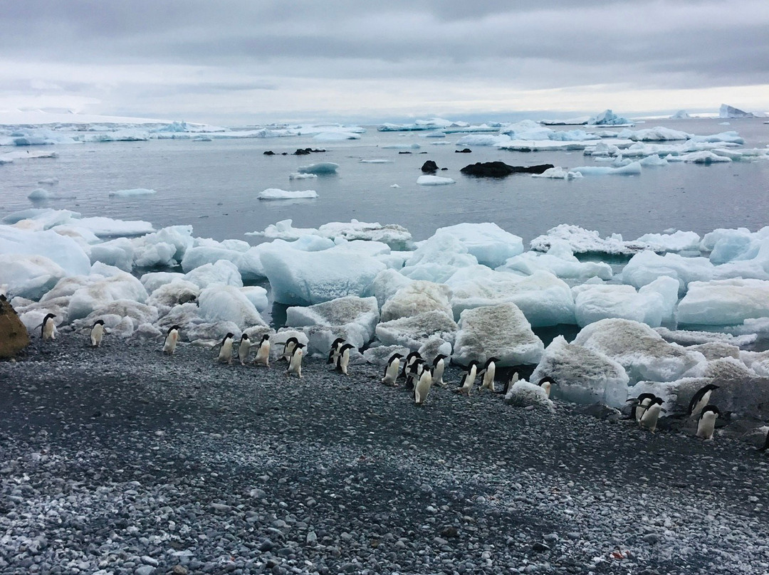 Brown Bluff-Antarctic Peninsula必去景点