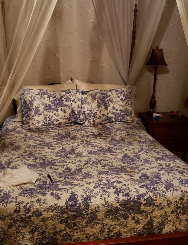 Roussell's Garden Bed & Breakfast主图