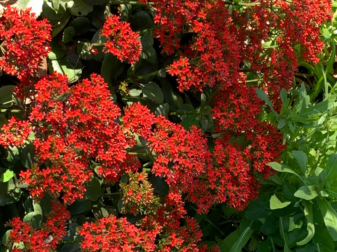 MPT Marble Rocks - Bhedaghat主图