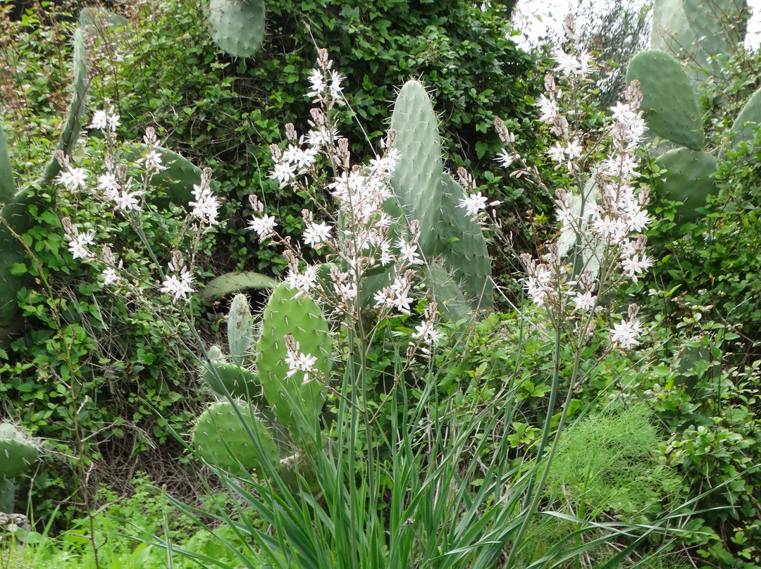 Tel Azeka-Beit Shemesh必去景点