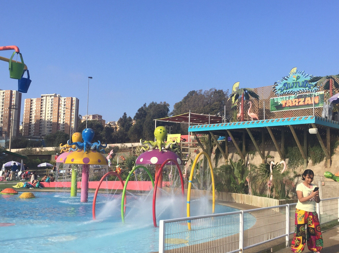 Parque Acuatico Aviva-比尼亚德尔马必去景点