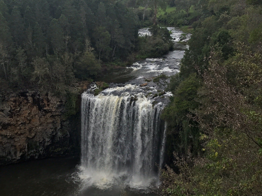 Dangar Falls景点图片