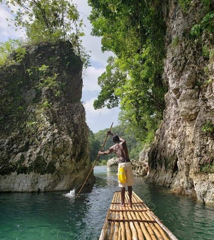 DT's Jamaica Tours and Taxi Service-奥乔里奥斯必去景点