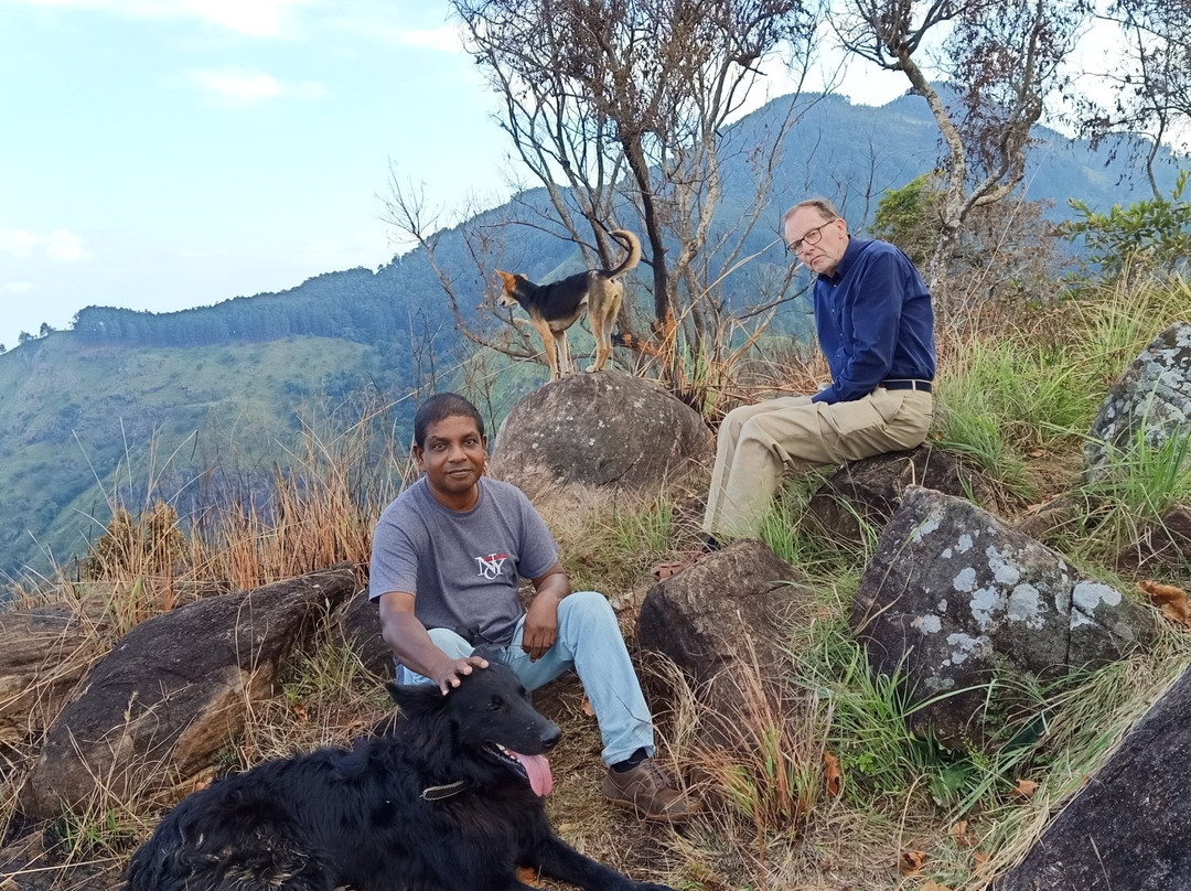 Ella Wildlife Village主图