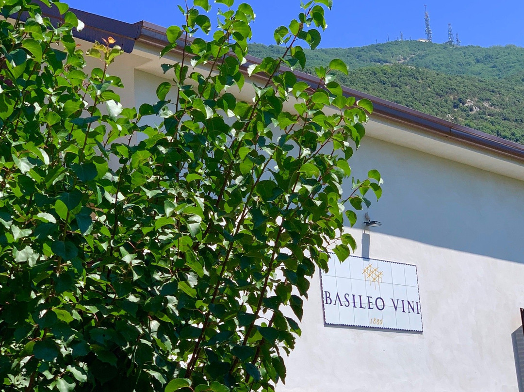Basileo Wine and Vineyard景点图片