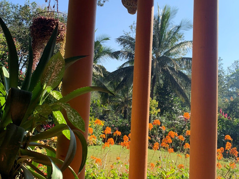 Comfort Homestay - Victory Home主图