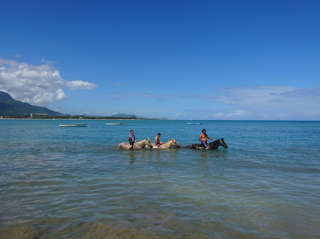 Rancho Salvaje-普拉塔港必去景点