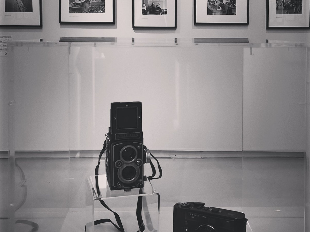 Les Essarts, Espaces Arts et Cultures-Bram必去景点