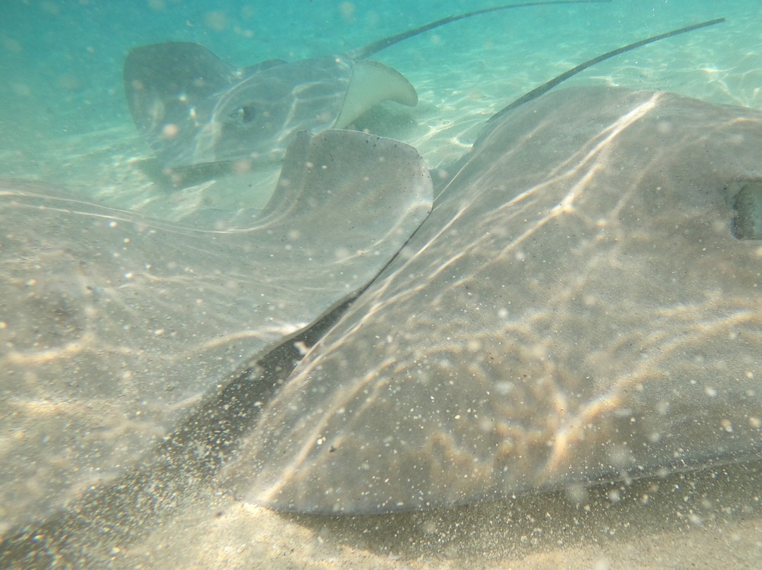 Moana Trips-马富士岛必去景点