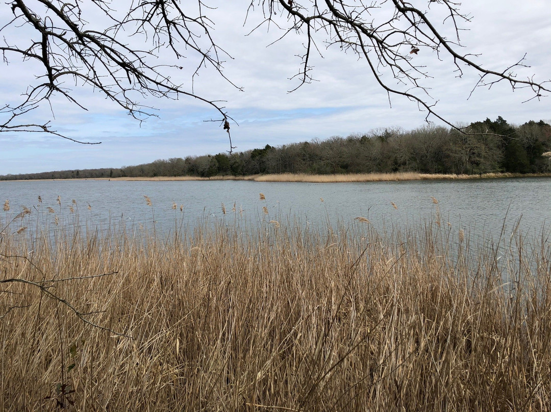Fairfield Lake State Park-Fairfield必去景点