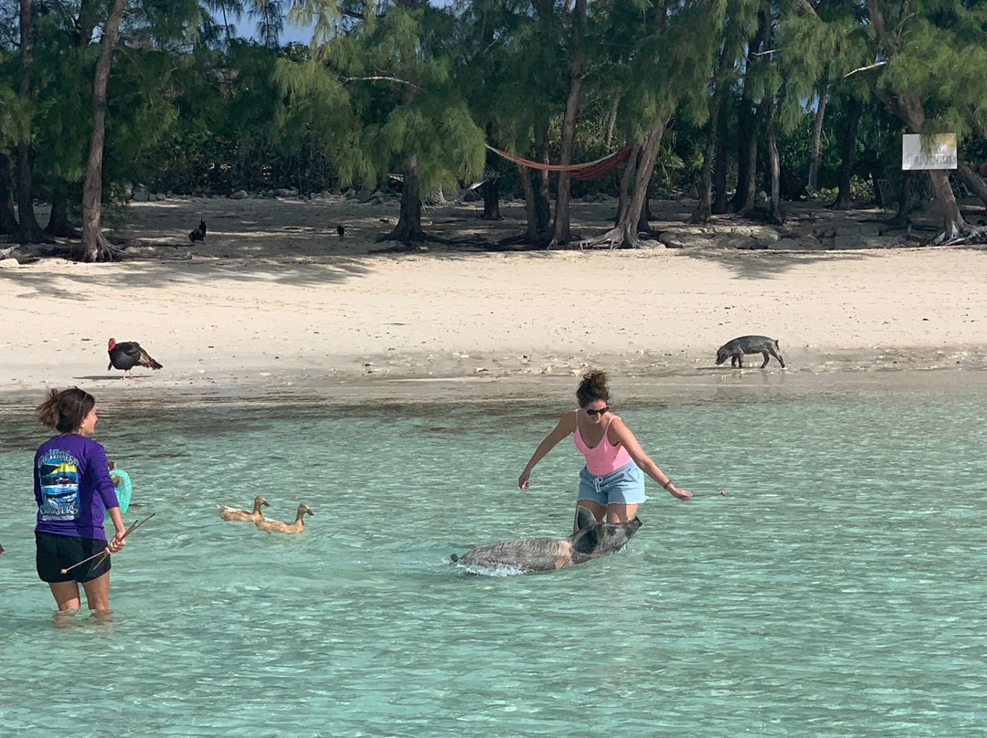 Cay Witness Charters-Spanish Wells必去景点