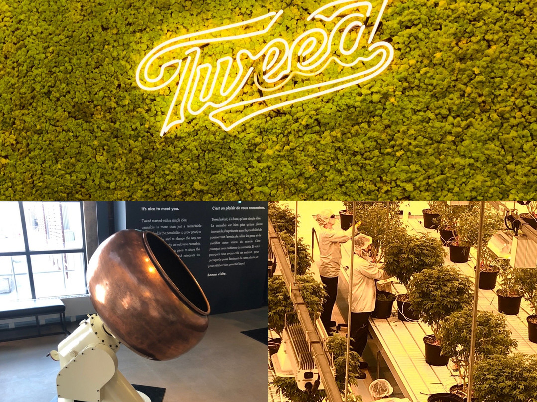 Tweed Visitor Centre景点图片