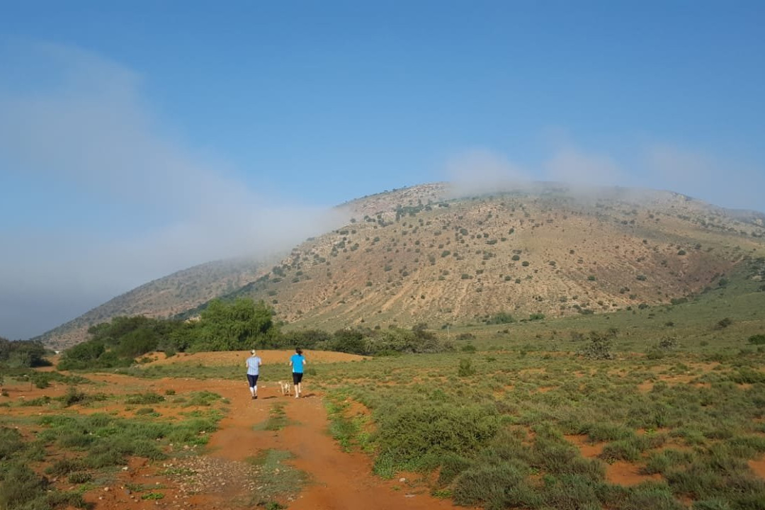 Dorschfontein Guest Farm主图