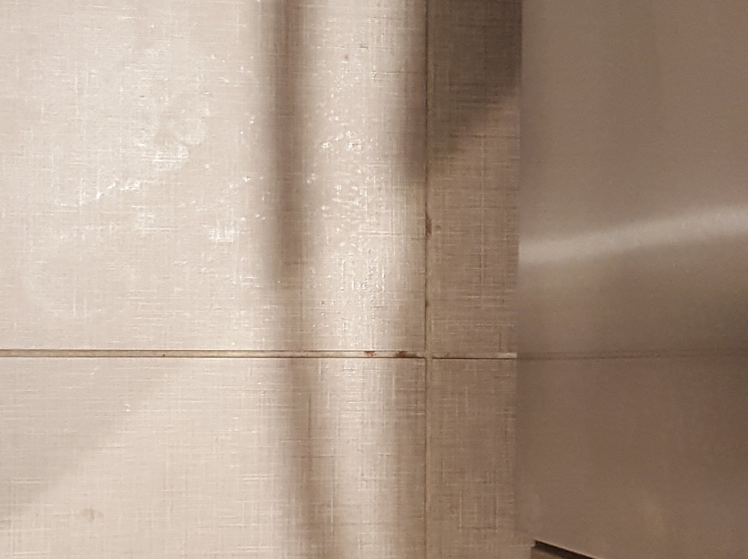 Home2 Suites By Hilton Charleston West Ashley主图