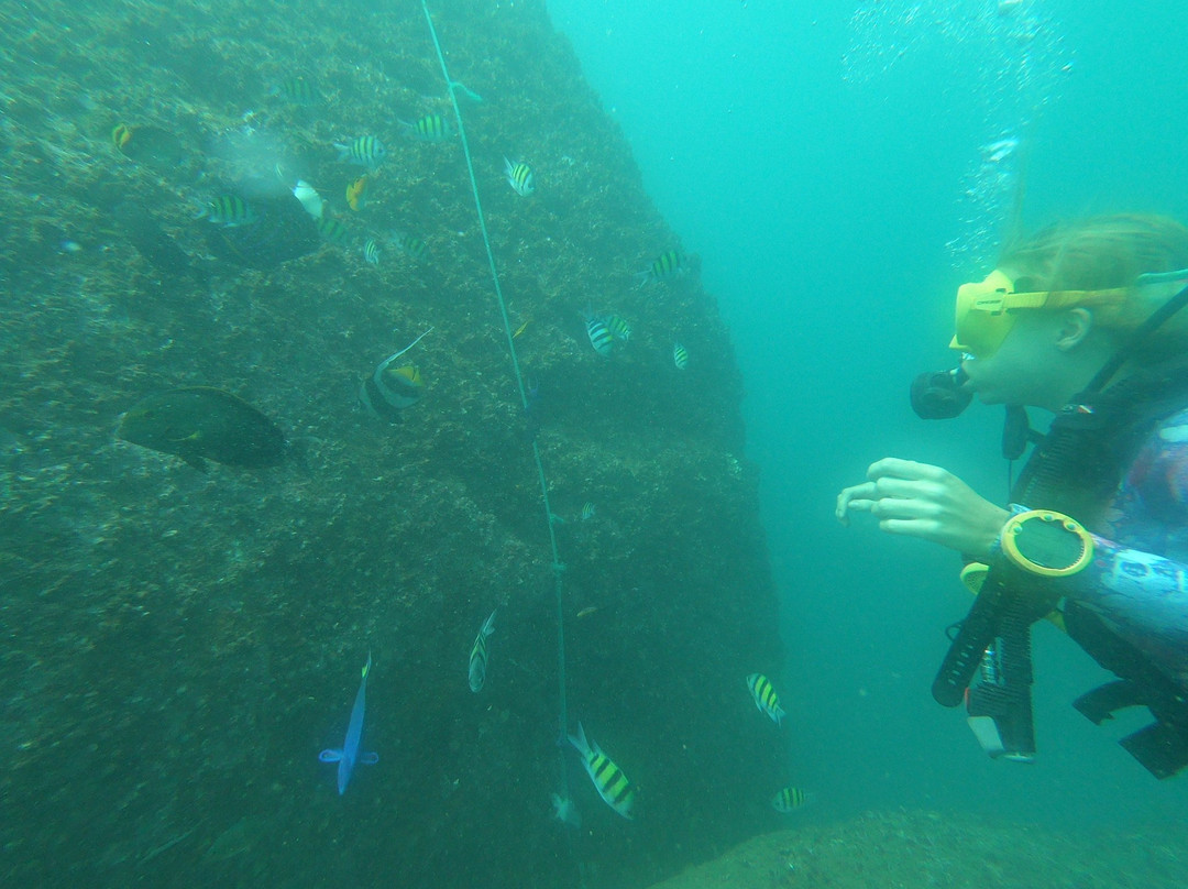 Weligama Bay Dive Center-瓦勒迦玛必去景点