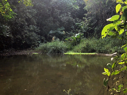 Minca Glamping主图