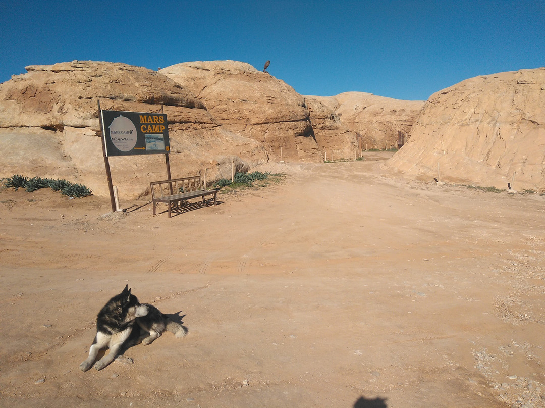 Petra Mars Camp主图