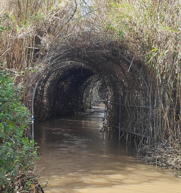The Majrasa-Kinneret必去景点