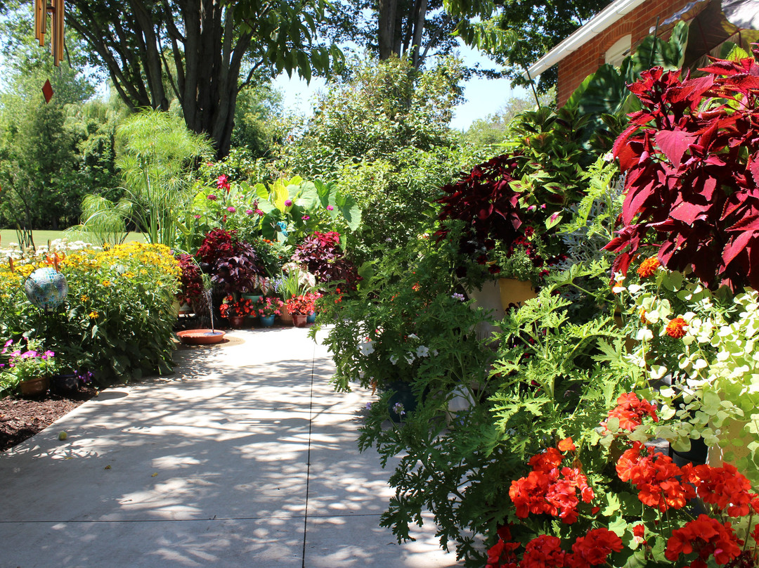 Bellaire Motel主图