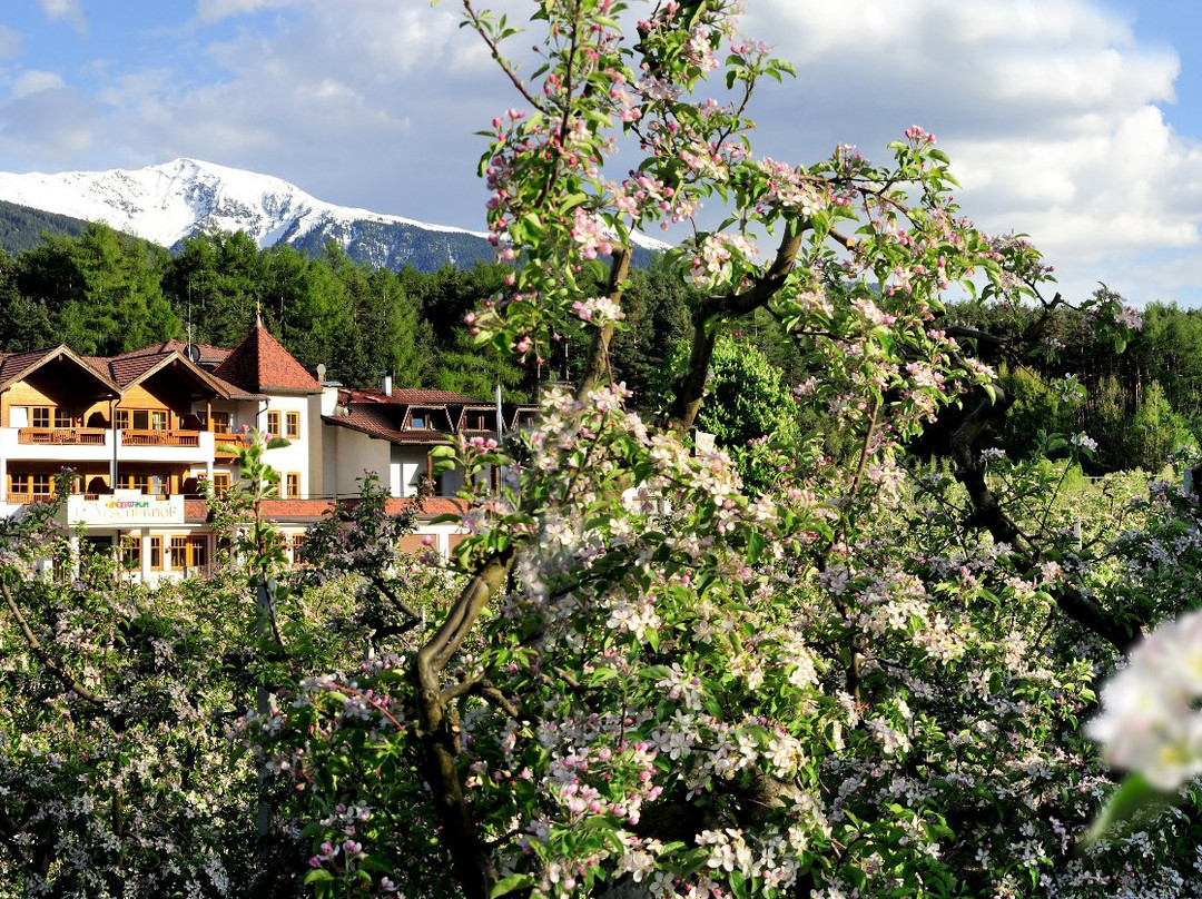 Hotel Flotscherhof主图