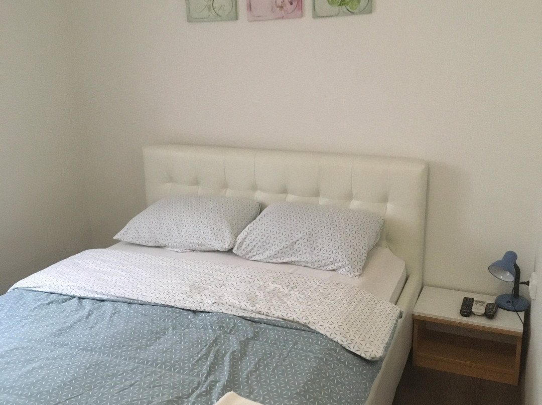 Guest House Ivac Inn主图