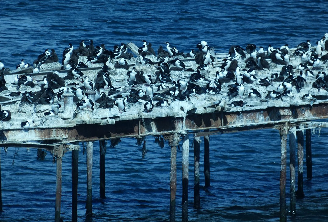 Dreams Casino Punta Arenas主图