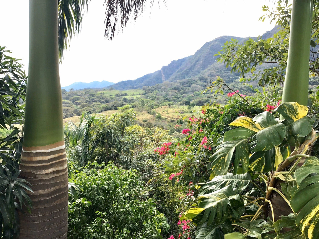 Finca Ecologica Casa Cumbres主图