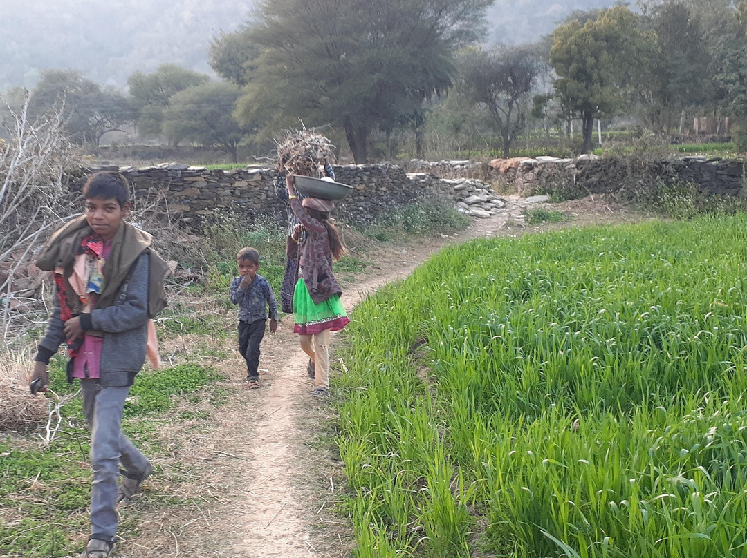 Countryside Excursion景点图片