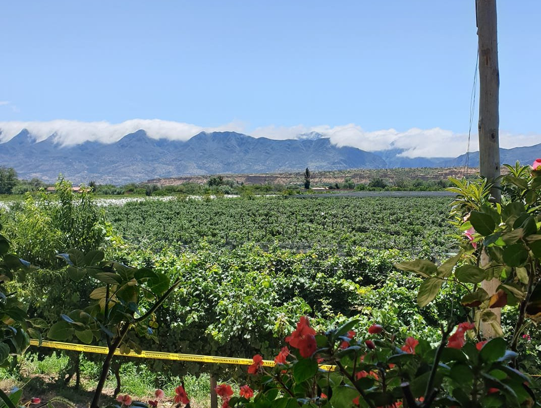 La Casa Vieja-塔里哈必去景点