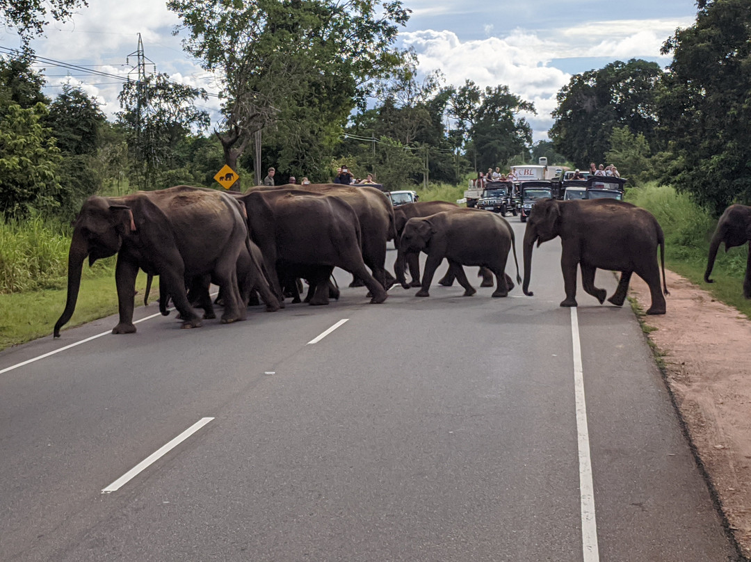 Journey to Lanka景点图片
