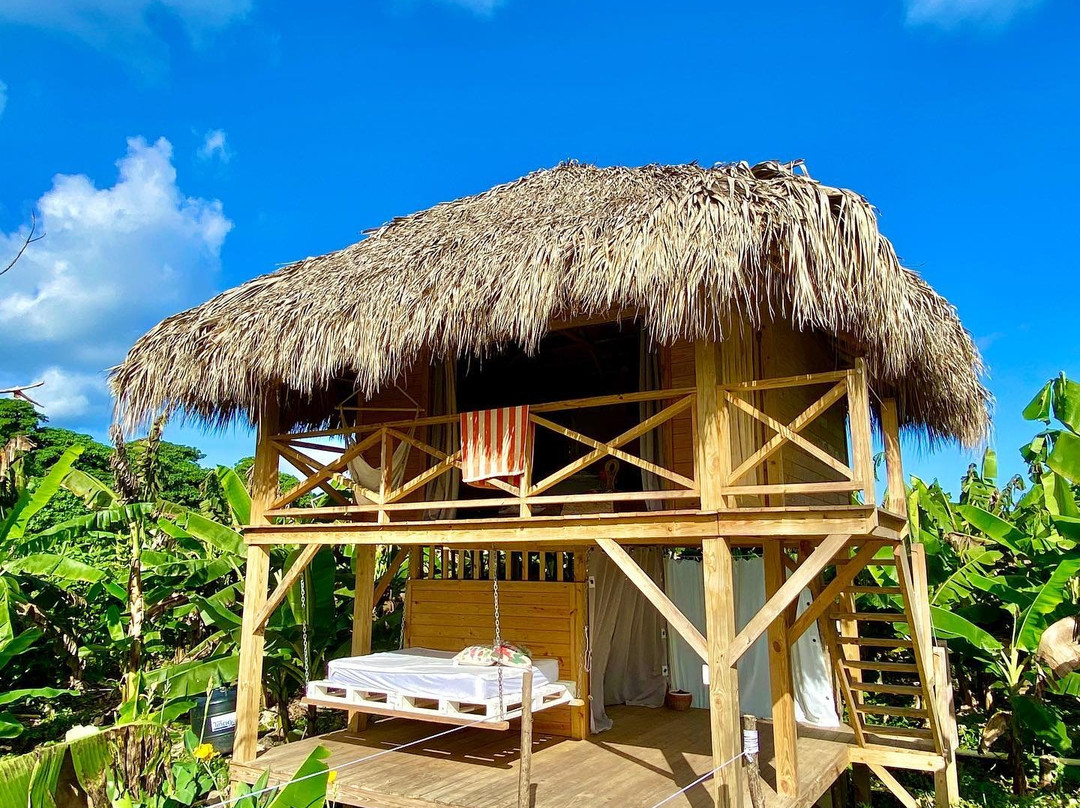 Samana Ecolodge主图