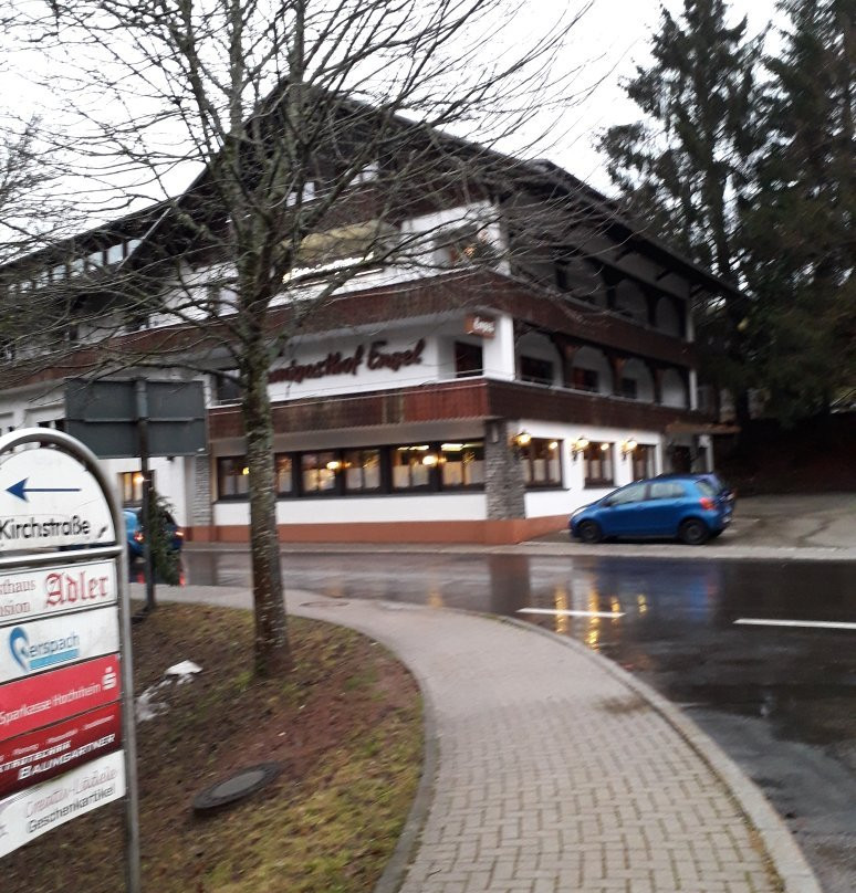 Alemannenhof Hotel Engel主图