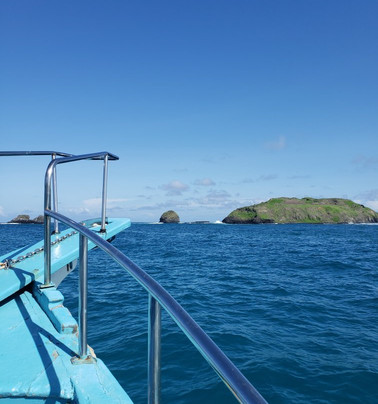 Embarcacao Patrick II-费尔南多-迪诺罗尼亚群岛必去景点