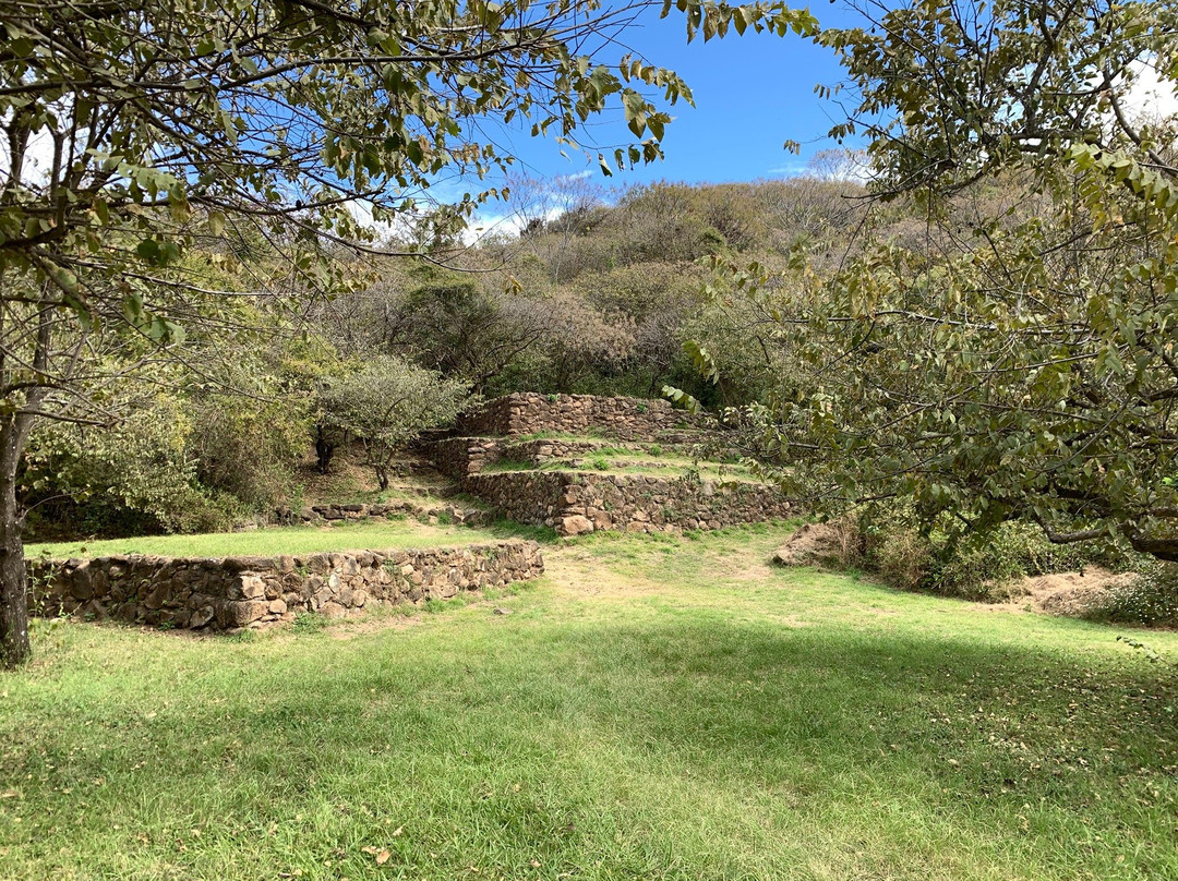 Zona Arqueológica Teuchitlán o Guachimontones景点图片