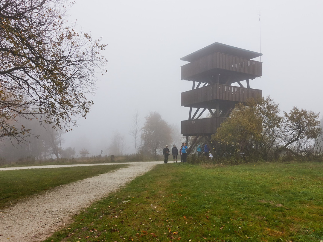 Nationalpark Hunsruck-Hochwald-比肯费尔德必去景点