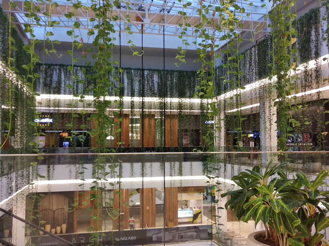 Aurora Shopping-Londrina必去景点