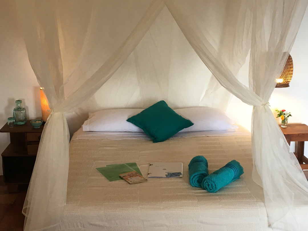 Finca San Pedro主图