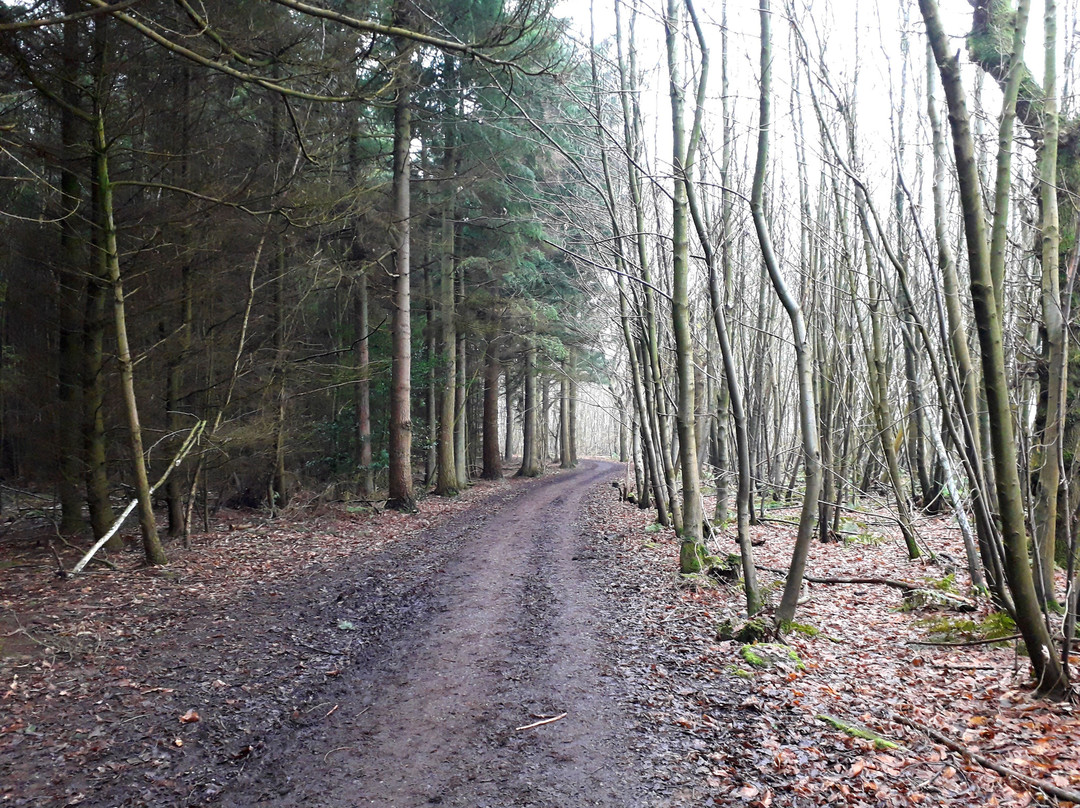 2024年10月Densole旅游景点攻略 Densole旅游住宿 Densole旅游美食 猫途鹰 2024年10月Densole旅游景点攻略 Densole旅游住宿 Densole旅游美食 猫途鹰