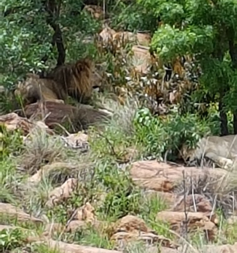 Welgevonden Nature Reserve-瓦尔沃特必去景点